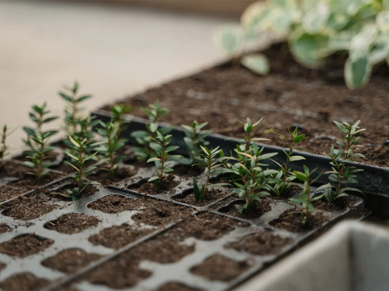 土壤重金屬檢測儀基本工作原理(土壤重金屬檢測儀使用標準)